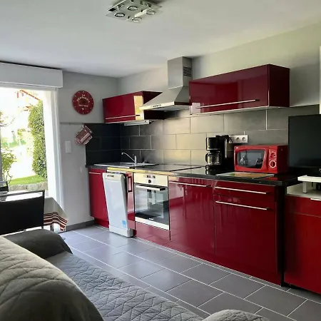 Apartment Rez-de-jardin Renove Avec Terrasse A Cambo-les-bains, T1 Bis Pour 2 Personnes, Equipe Et Lumineux - Fr-1-495-93 Cambo-les-Bains