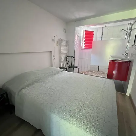 Apartment Rez-de-jardin Renove Avec Terrasse A Cambo-les-bains, T1 Bis Pour 2 Personnes, Equipe Et Lumineux - Fr-1-495-93