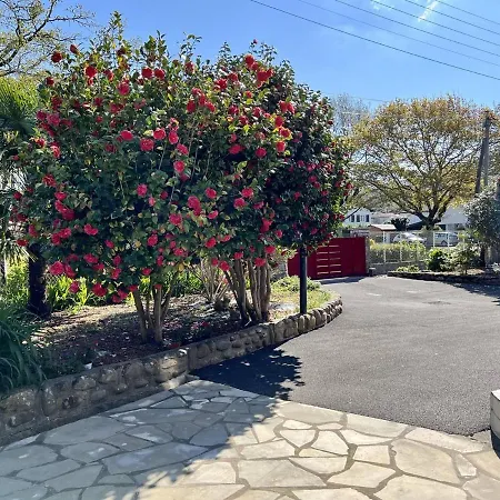Apartment Rez-de-jardin Renove Avec Terrasse A Cambo-les-bains, T1 Bis Pour 2 Personnes, Equipe Et Lumineux - Fr-1-495-93 *