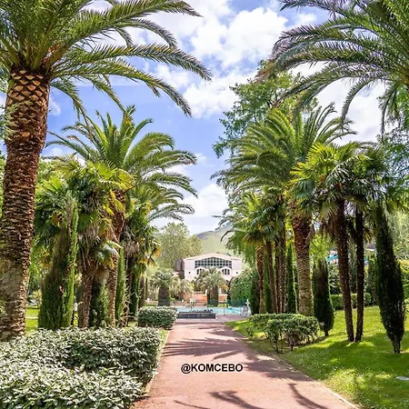 : T1 Bis Renove Avec Terrasse, Wi-fi, Pour 2 Personnes - Fr-1-495-93 *